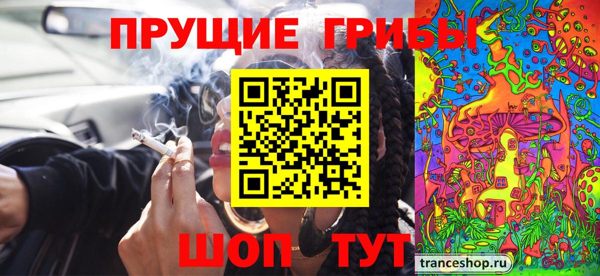 Егорьевск  Псилоцибиновые грибы Psilocybe  Вход с VPN 
