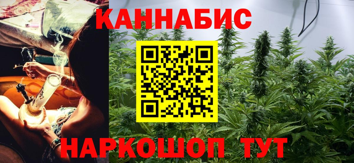 Канабис планчик  Бошки марихуана White Widow  Егорьевск  Вход с VPN 